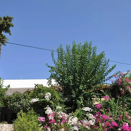 Hotel Jet Patara