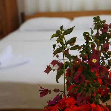Jet Hotel