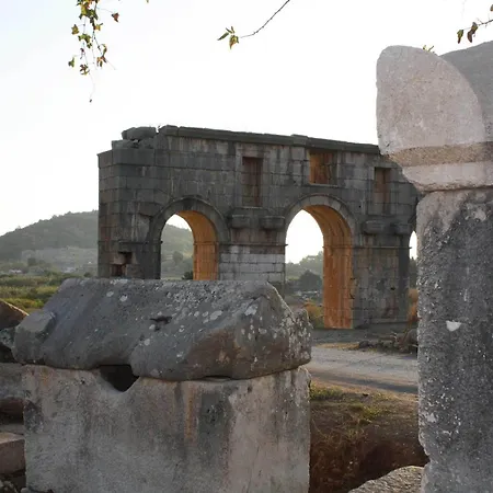 Jet * Patara